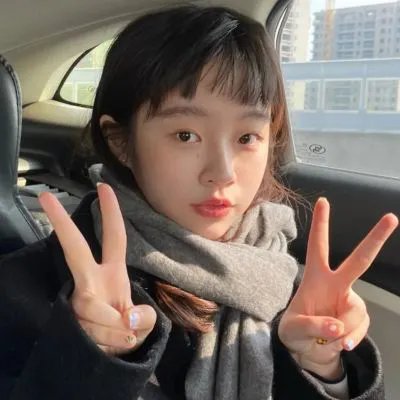 征服北极的人